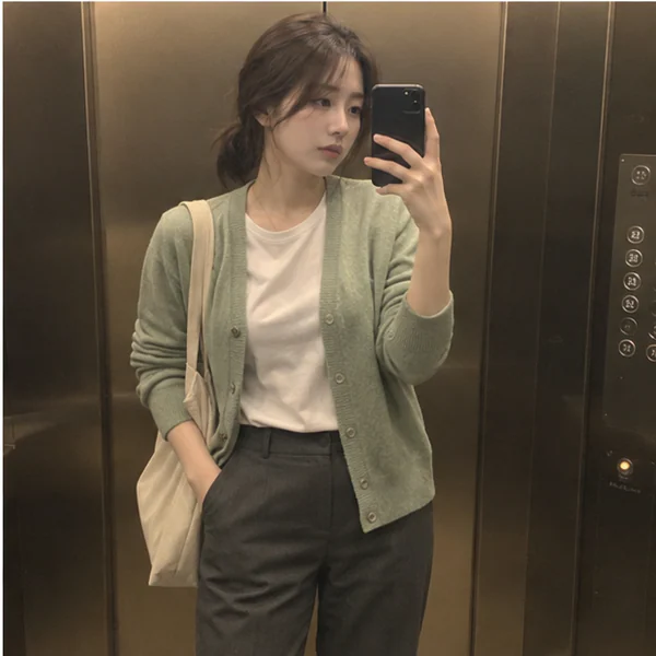 안산 와동 가을 케어 안내 이미지